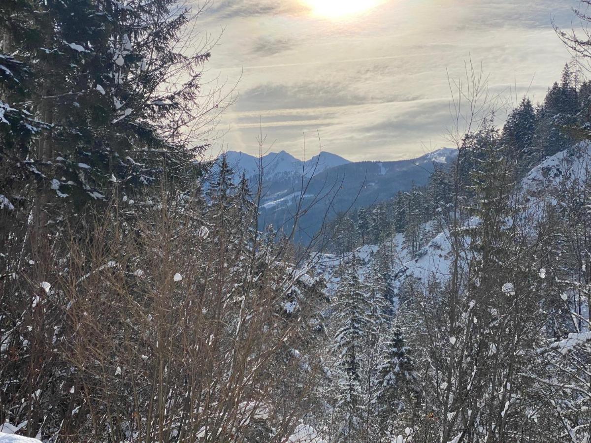 Appartement Steinfisch Ramsau am Dachstein Bagian luar foto