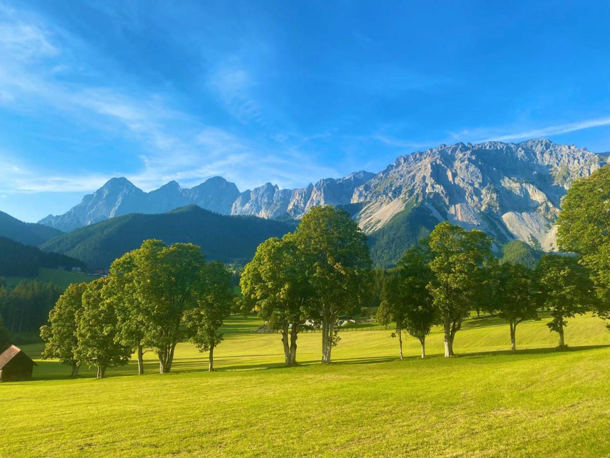Appartement Steinfisch Ramsau am Dachstein Bagian luar foto