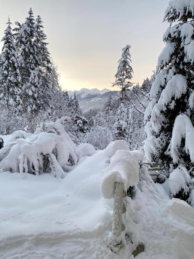 Appartement Steinfisch Ramsau am Dachstein Bagian luar foto