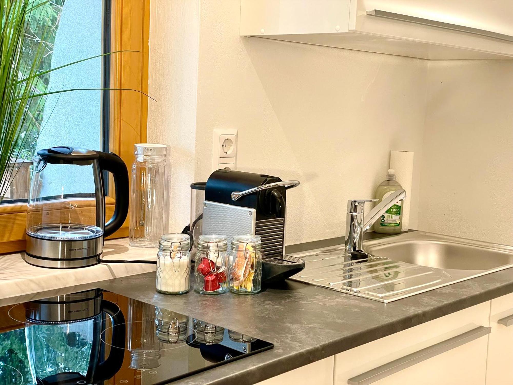 Appartement Steinfisch Ramsau am Dachstein Bagian luar foto